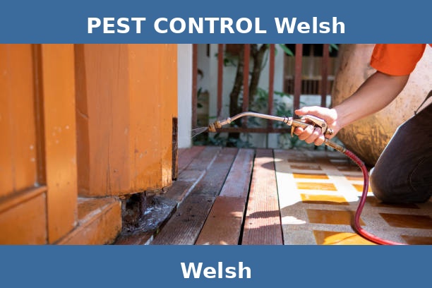 PEST CONTROL Welsh